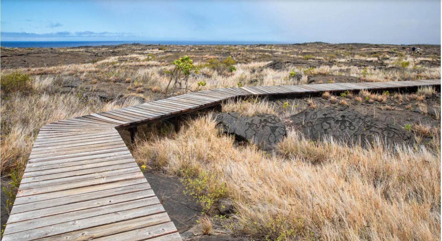 Volcano One - Modern Studio With Lanai Near Volcano National Park Bagian luar foto